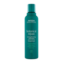AVEDA BOTANICAL REPAIR...