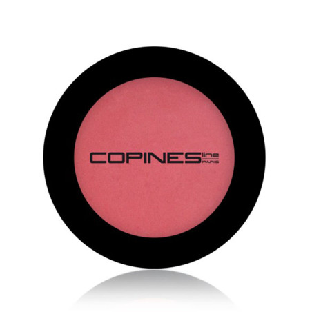 COPINES FARD A JOUES Blush